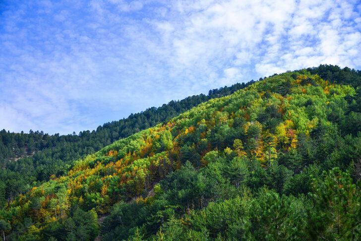 Murat Dağı sonbahar renklerine büründü G4