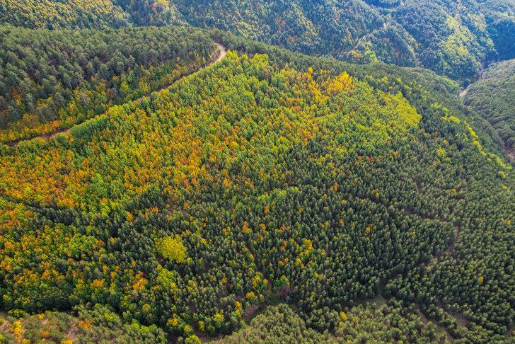 Murat Dağı sonbahar renklerine büründü G5
