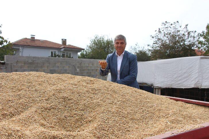 Edirne'de çiftçi devlet destekli damla sulamayla çeltik ekti, verimi artırdı G2