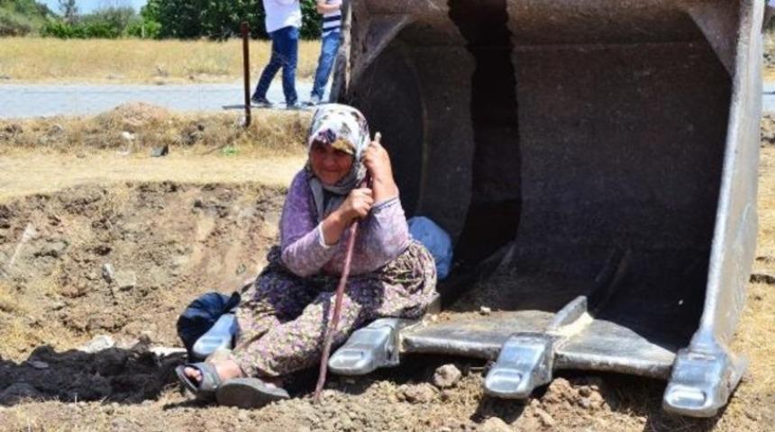 Fatma nine ağa&ccedil;lar i&ccedil;in bedenini siper etti