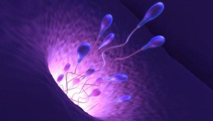 Sperm sayısının azalması insanlığın sonunu getirebilir