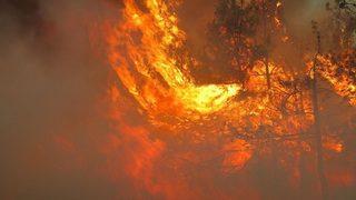 Yangın İzmir'den Manisa'ya ulaştı: 2 bin kişi tahliye edildi