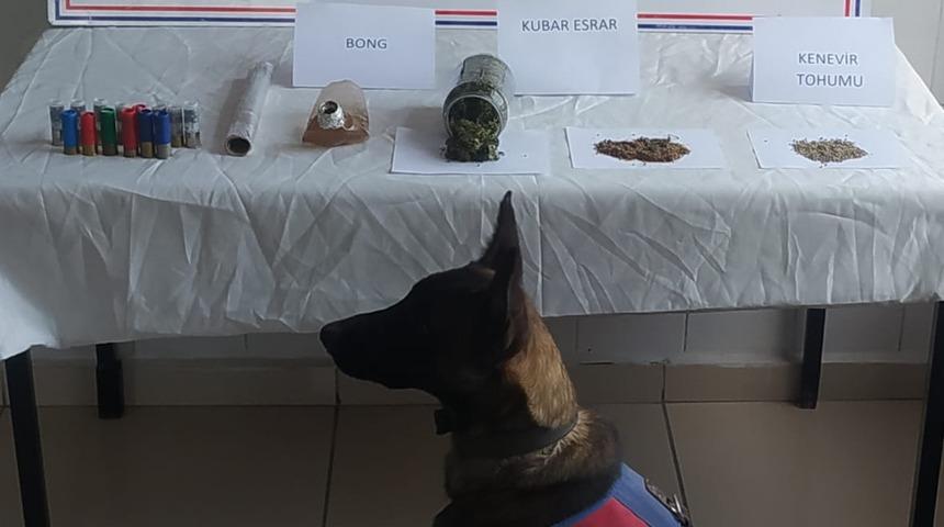 Kastamonu'da uyuşturucu operasyonlarında 3 zanlı yakalandı