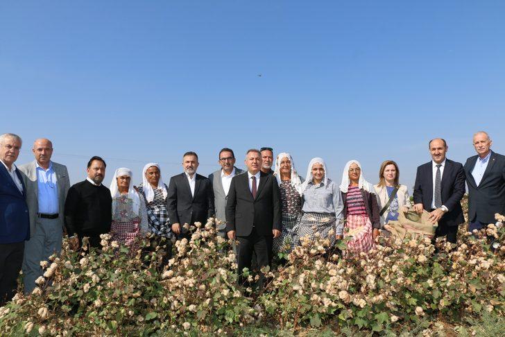 Adana'da iki çeşit renkli pamuğun hasadı yapıldı G4