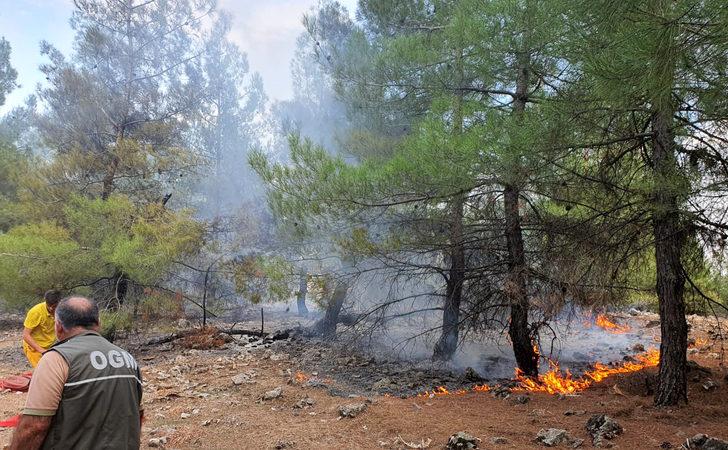 Kahramanmaraş'ta çıkan örtü yangını söndürüldü G1