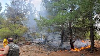 Kahramanmaraş'ta çıkan örtü yangını söndürüldü