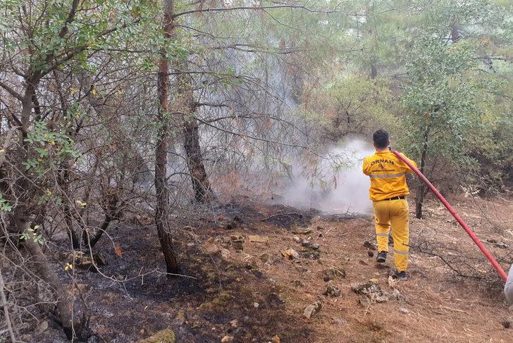 Kahramanmaraş'ta çıkan örtü yangını söndürüldü G3