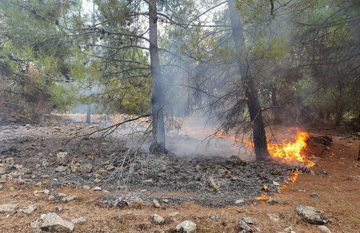 Kahramanmaraş'ta çıkan örtü yangını söndürüldü G4