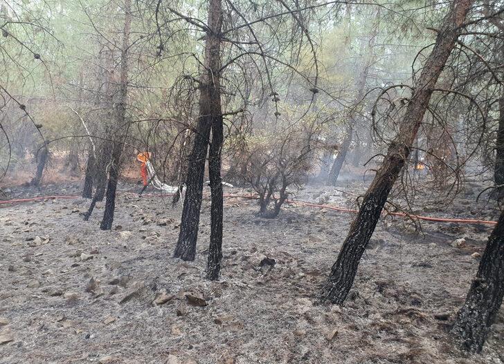 Kahramanmaraş'ta çıkan örtü yangını söndürüldü G5