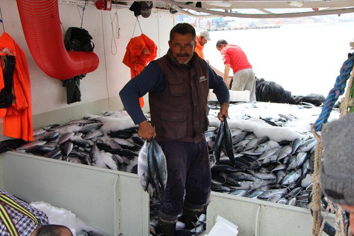 Bandırma Körfezi'nde palamut bolluğu devam ediyor G4