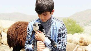 Türkiye onları konuşuyor: 120, 119...