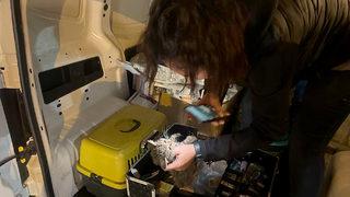 Avcılar'da 3 aracın karıştığı kaza trafik yoğunluğuna neden oldu