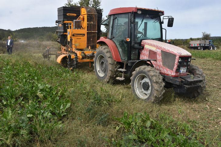 Sinop'ta 16 yıl sonra yeniden ekimi yapılan şeker pancarında hasat başladı G2