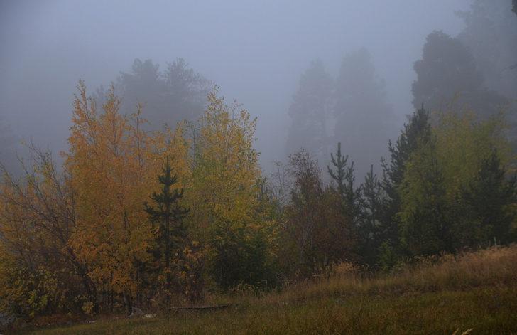 Kars'ta etkili olan sis sürücülere zor anlar yaşattı G3
