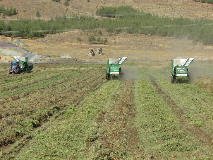 Gaziantep'te yer fıstığı hasadı başladı G3