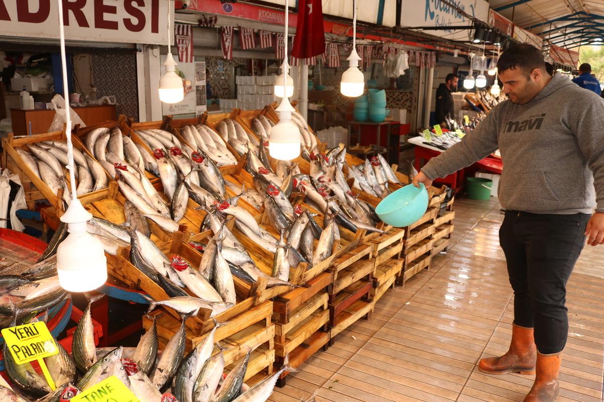 Bandırma Su &Uuml;r&uuml;nleri Hali'nden &ccedil;evre illere 4 bin kasa palamut g&ouml;nderildi