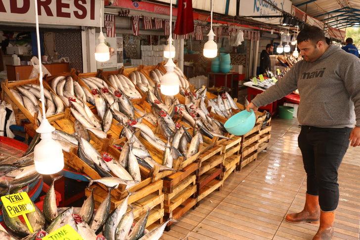 Bandırma Su Ürünleri Hali'nden çevre illere 4 bin kasa palamut gönderildi G1