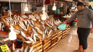 Bandırma Su Ürünleri Hali'nden çevre illere 4 bin kasa palamut gönderildi