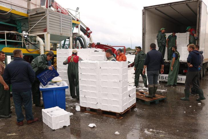 Bandırma Su Ürünleri Hali'nden çevre illere 4 bin kasa palamut gönderildi G2