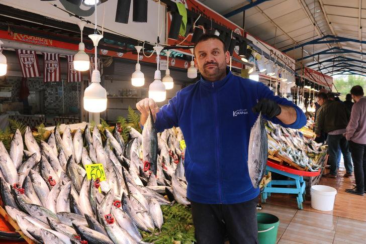 Bandırma Su Ürünleri Hali'nden çevre illere 4 bin kasa palamut gönderildi G3