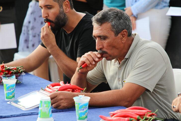 Antalya'da "Kaş Kapya Hasat Şenliği" yapıldı G4