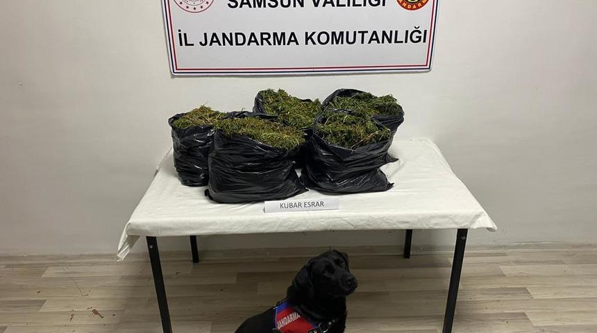 Samsun'da 15 kilo 160 gram esrar ele geçirildi, 1 şüpheli tutuklandı