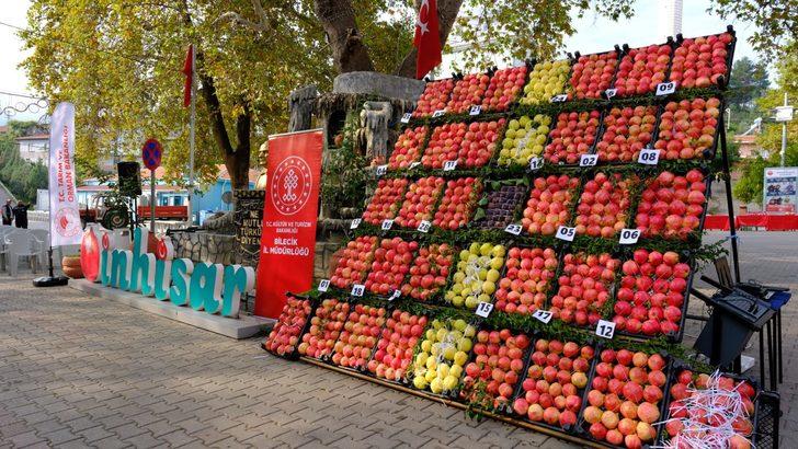Bilecik'teki hasat şenliğinde nar dizme, suyunu sıkma ve yeme yarışmaları yapıldı G3