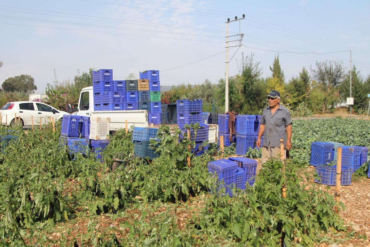 Antalya'da dolu ve fırtına tarım alanlarına zarar verdi