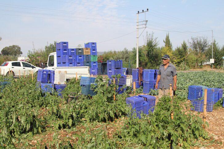 Antalya'da dolu ve fırtına tarım alanlarına zarar verdi G1