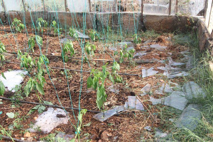 Antalya'da dolu ve fırtına tarım alanlarına zarar verdi G3