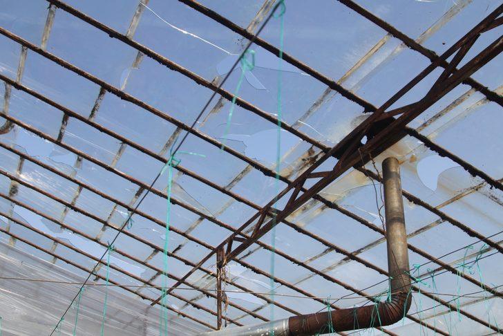 Antalya'da dolu ve fırtına tarım alanlarına zarar verdi G4