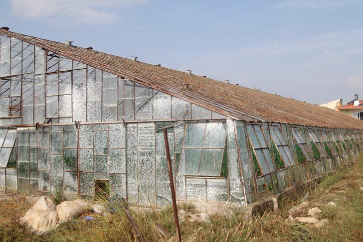 Antalya'da dolu ve fırtına tarım alanlarına zarar verdi G5