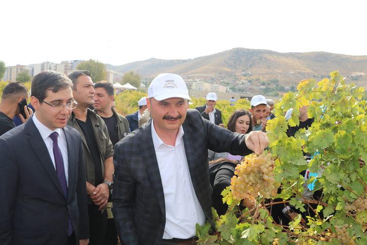 Batman'da "1. Gercüş Bağ Bozumu Festivali" düzenlendi G5