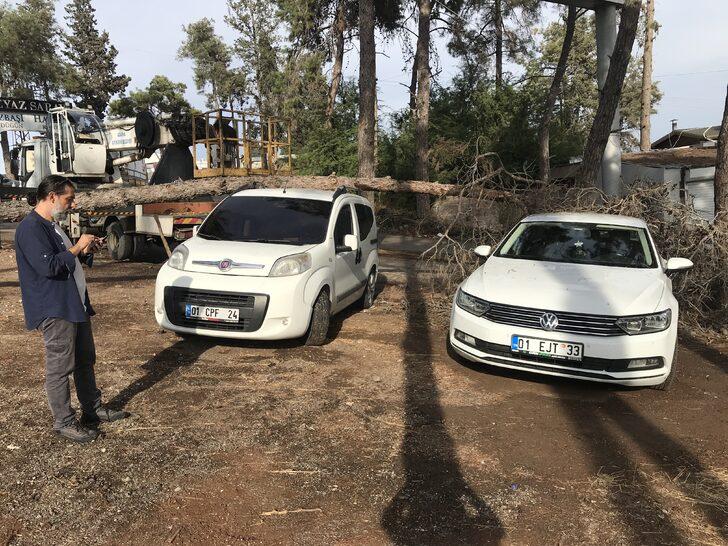 Adana'da park halindeki iki aracın üzerine ağaç devrildi G4
