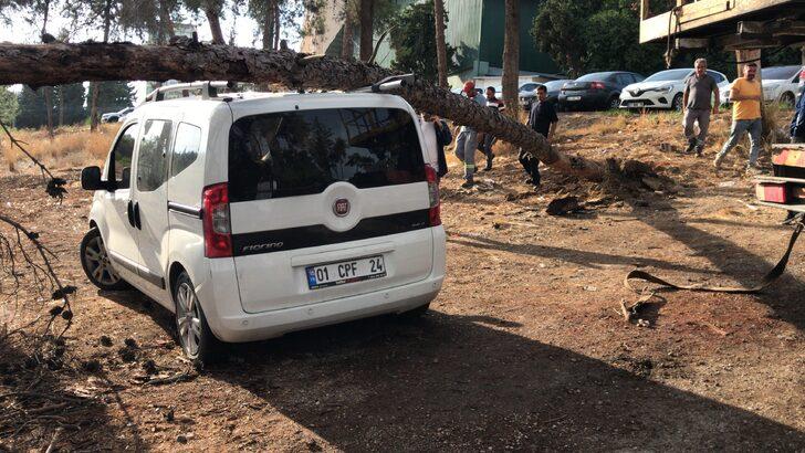 Adana'da park halindeki iki aracın üzerine ağaç devrildi G5