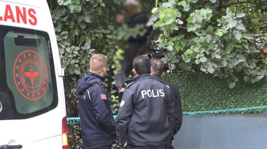 Meyve toplamak için çıkmıştı! Yaşlı adamın ayva ağacında kahreden sonu...