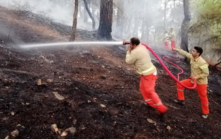 Antalya'da çıkan orman yangını kontrol altına alındı G1