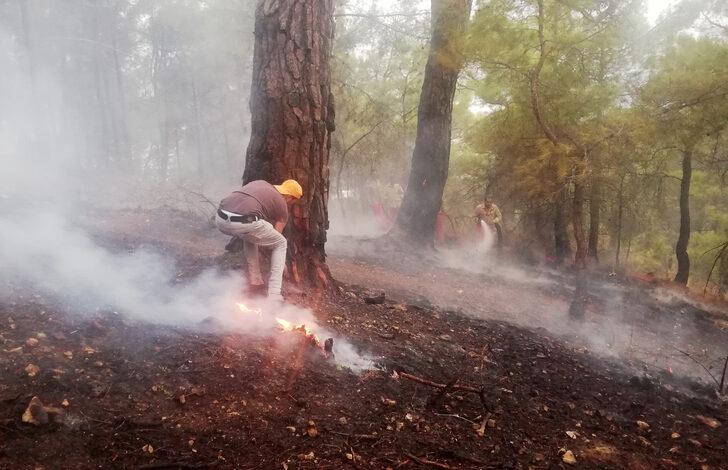 Antalya'da çıkan orman yangını kontrol altına alındı G2