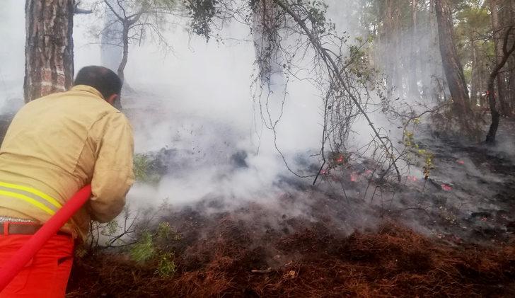 Antalya'da çıkan orman yangını kontrol altına alındı G4