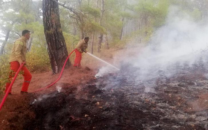 Antalya'da çıkan orman yangını kontrol altına alındı G5