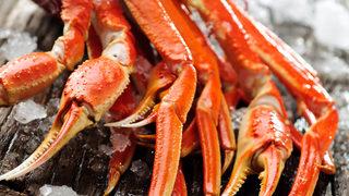 Tarihte ilk kez iptal edildi! Yüzde 90'ı yok oldu... Kar yengeci türü yok olmak üzere