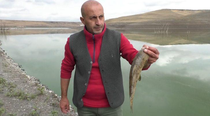 Kars Baraj Gölü yeşil renge büründü! Vatandaşlar tedirgin... Etrafa pis kokular yayıldı G3