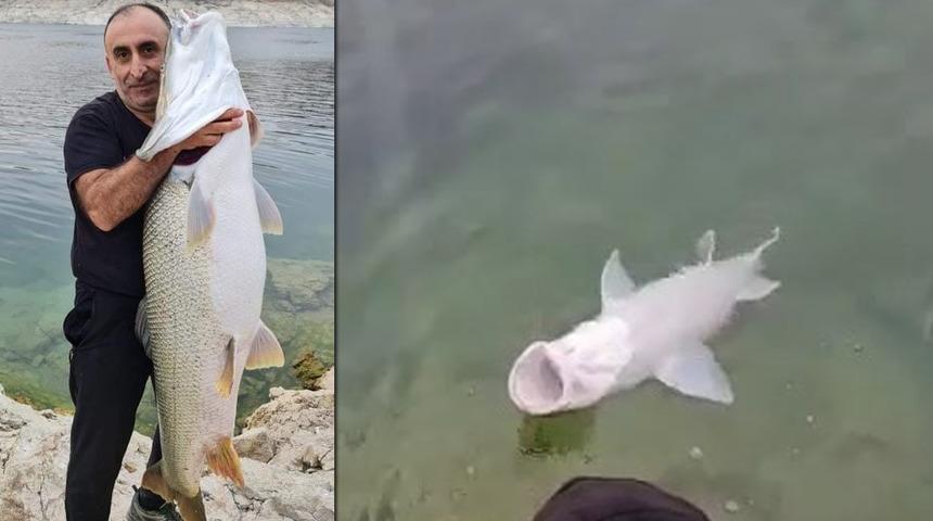 Olta ile yakaladılar şaşkına döndüler! Yarım saatte kenara çektiler