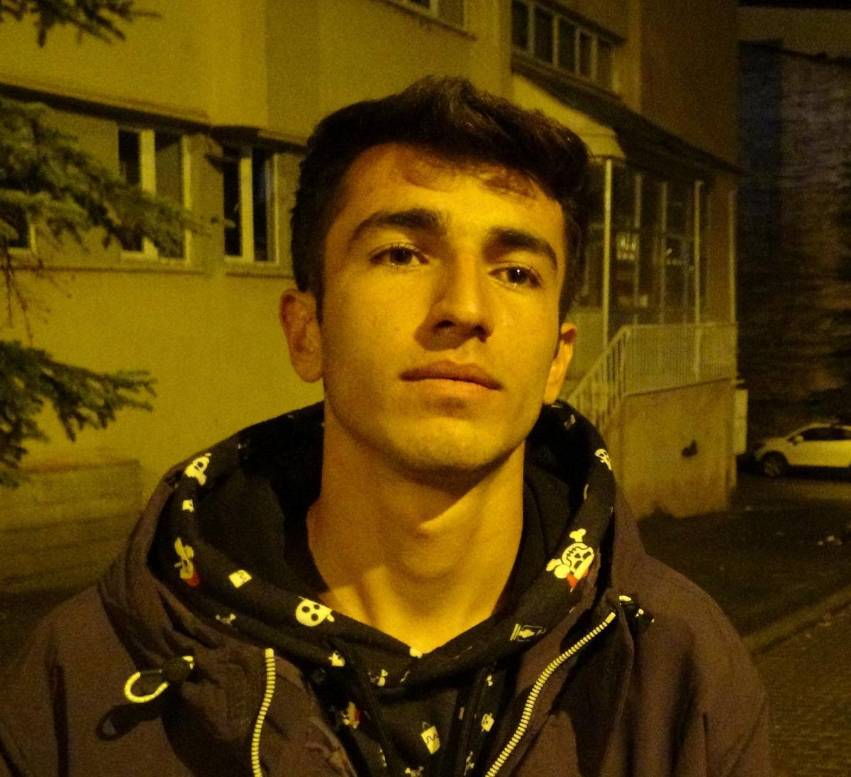 Sarıkamış'ta bozayılar vatandaşları tedirgin ediyor