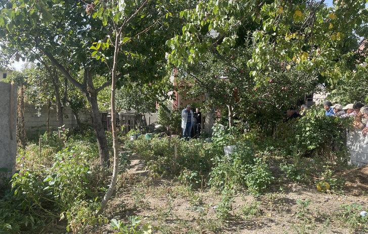 Kayseri'de ağaçtan düşen kişi hayatını kaybetti G1