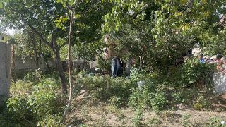 Kayseri'de ağaçtan düşen kişi hayatını kaybetti