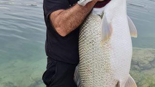 Amatör balıkçı olta ile 1,5 metre uzunluğunda turna balığı tuttu