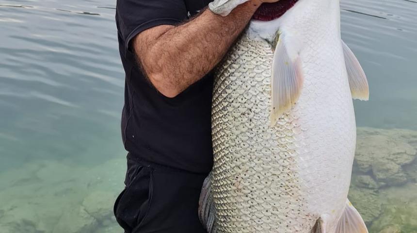 Amatör balıkçı olta ile 1,5 metre uzunluğunda turna balığı tuttu
