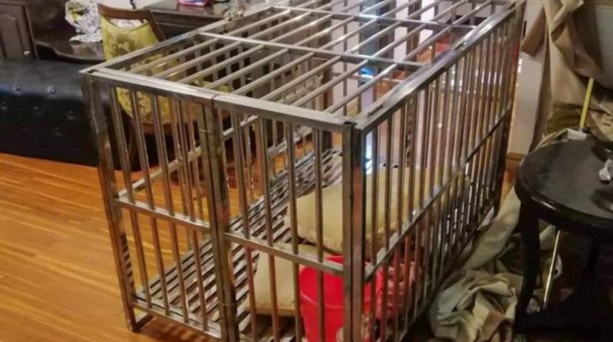 Gece kulübünden kaçırıldı! Kadın turist 20 gün boyunca kilitli köpek kafesinde tutuldu