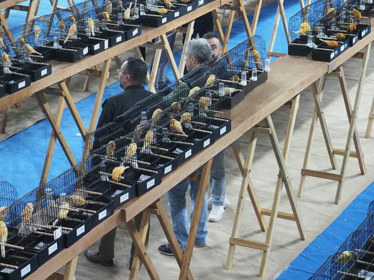 Balıkesir'de "Kanarya Güzellik Yarışması" yapıldı G5